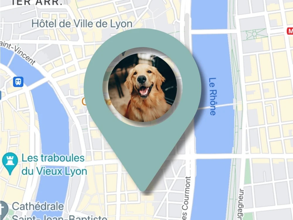 Carte illustrant la position partagée par le téléphone qui scanne la médaille Animoco